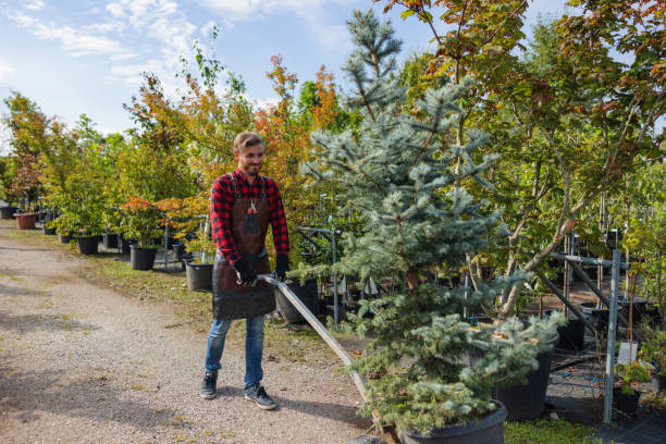 Best Commercial Tree Services  in Hawaiian Ocean View, HI